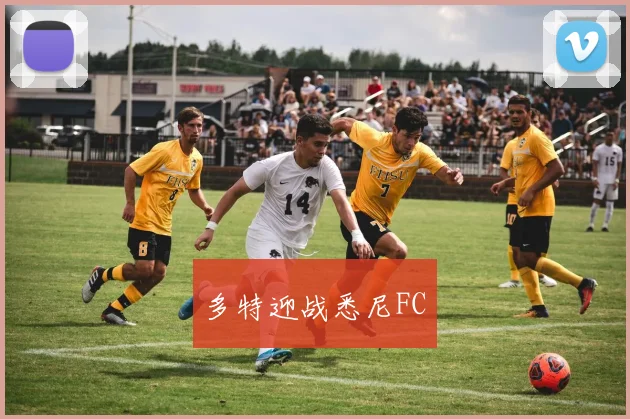 多特迎战悉尼FC