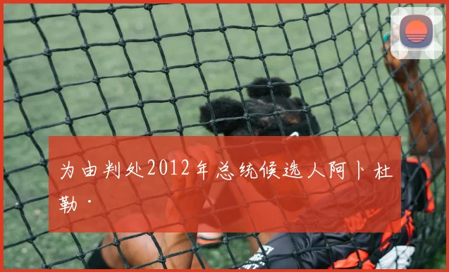 为由判处2012年总统候选人阿卜杜勒·