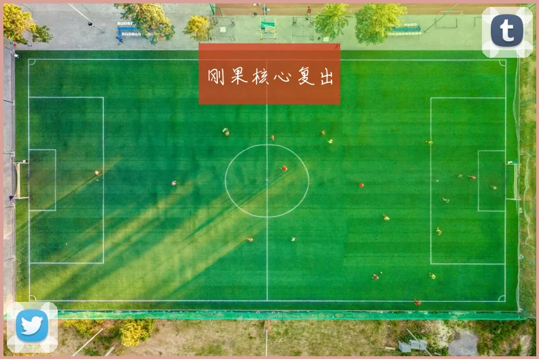 刚果核心复出