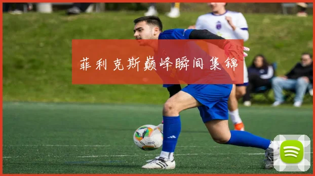 菲利克斯巅峰瞬间集锦