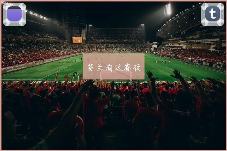 芬兰淘汰赛夜
