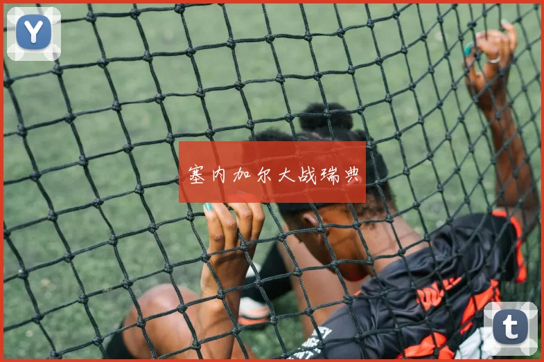塞内加尔大战瑞典