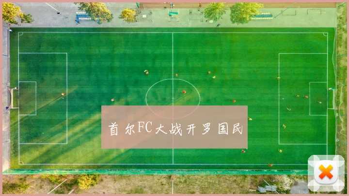 首尔FC大战开罗国民