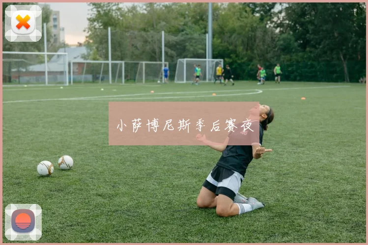 小萨博尼斯季后赛夜