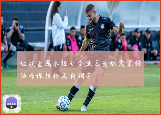 铂族金属和铬矿企业因全球需求强劲而保持较高利润率