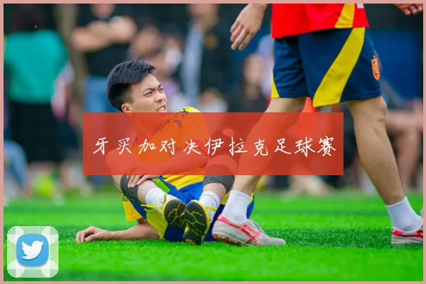 牙买加对决伊拉克足球赛