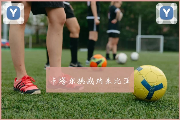 卡塔尔挑战纳米比亚