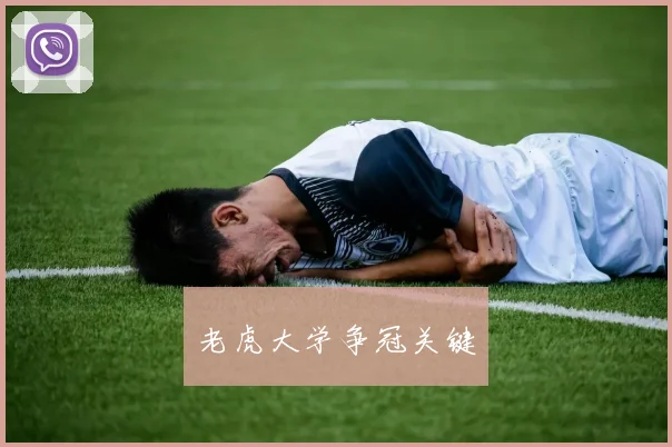 老虎大学争冠关键