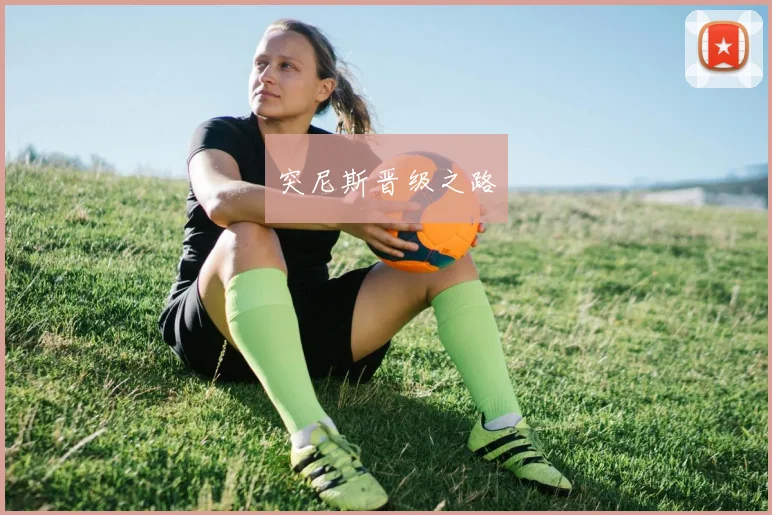 突尼斯晋级之路
