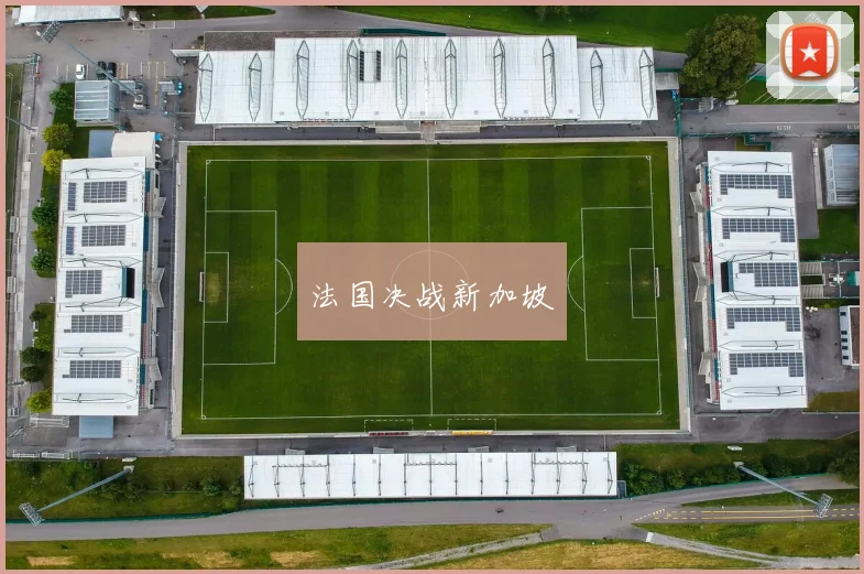 法国决战新加坡