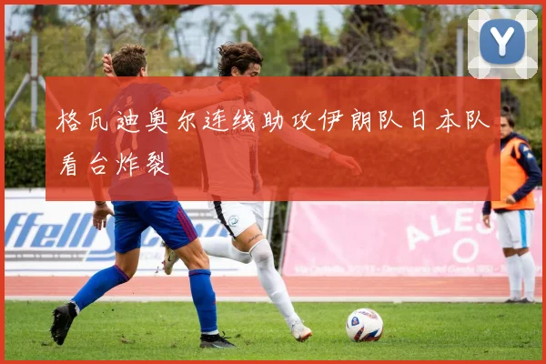 格瓦迪奥尔连线助攻伊朗队日本队看台炸裂