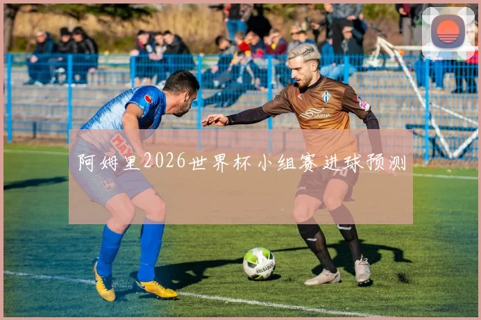 阿姆里2026世界杯小组赛进球预测
