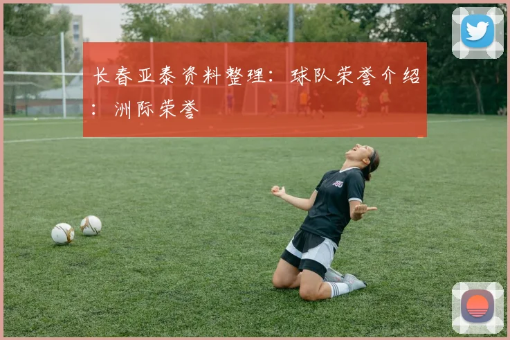 长春亚泰资料整理:球队荣誉介绍:洲际荣誉