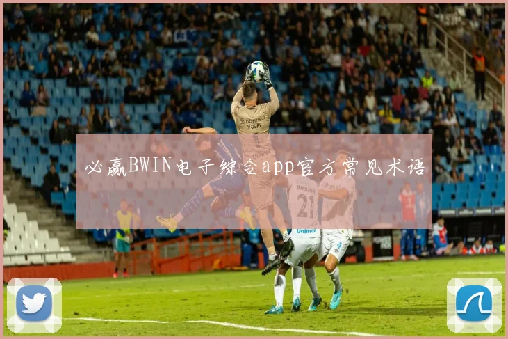必赢BWIN电子综合app官方常见术语