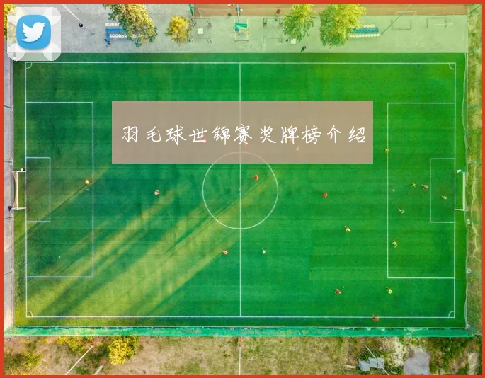 羽毛球世锦赛奖牌榜介绍