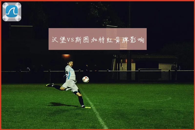 汉堡vs斯图加特红黄牌影响